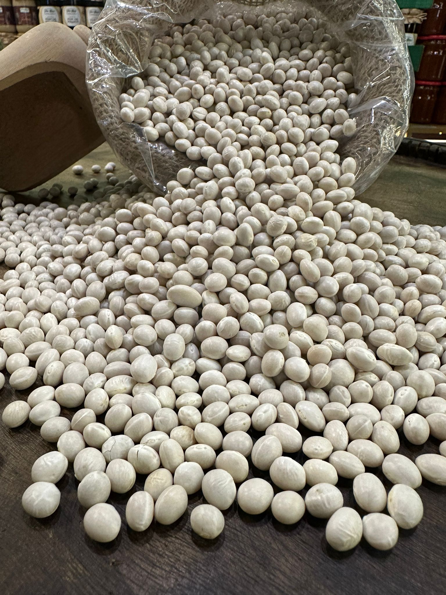 Sivas Zara Şeker Fasulye